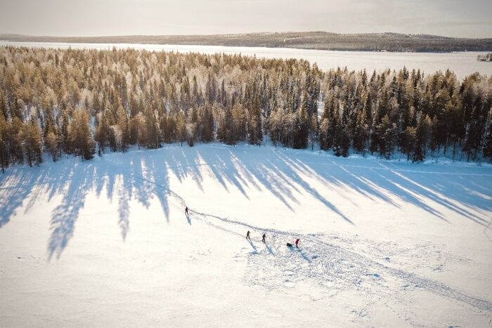 Ski Trekking Safari in Lapland